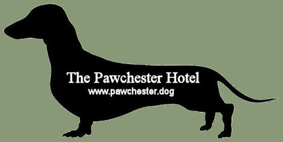 pawchester.dog